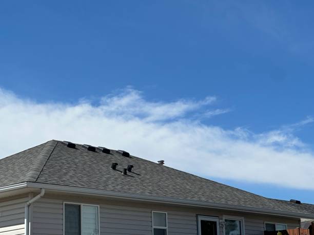 Best Roofing for New Construction  in Mack, OH